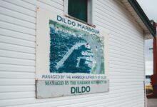 dynamic authority mapping process