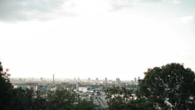 market advantage value growth