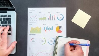 network summary and reports