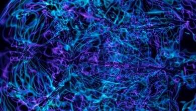 neural apex beam technology
