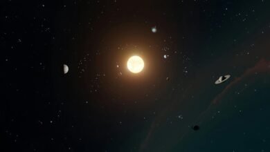 stellar core growth orbit