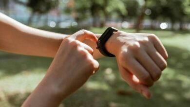 wildlife tracking alert logs