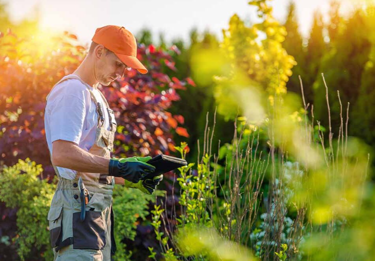 Why Running A Landscaping Business Without Scheduling Software Is Costly