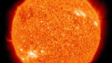 solarfusion archive identifiers list four numbers